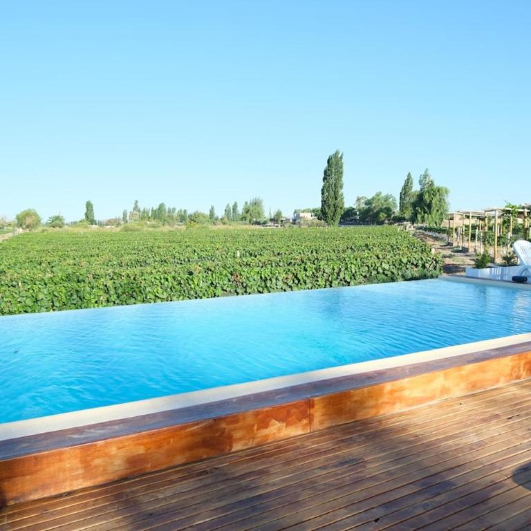 Cabin Vineyard Retreat - Suite with Mountain View - 5