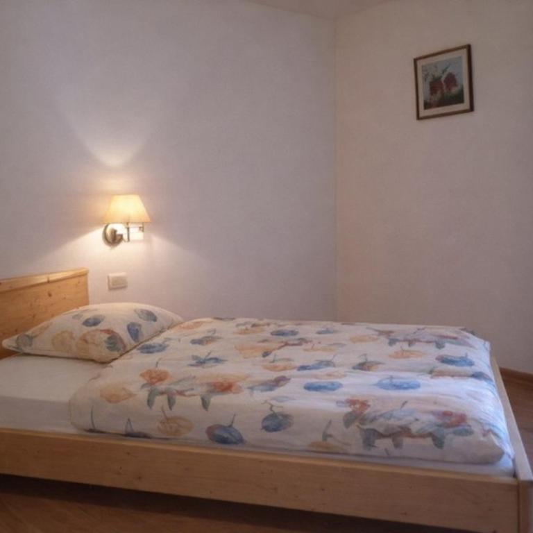 Haus Schieder - Appartamento con Terrazza - 5