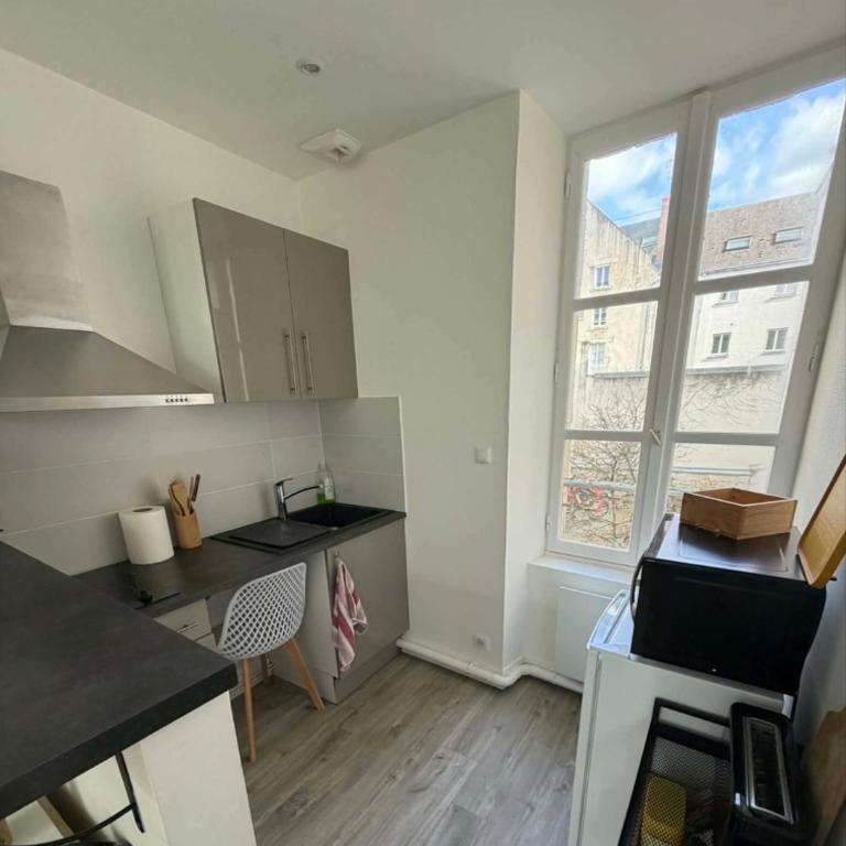 Appartement centre d'Orléans en bord de Loire - Apartment mit 1 Schlafzimmer - 42