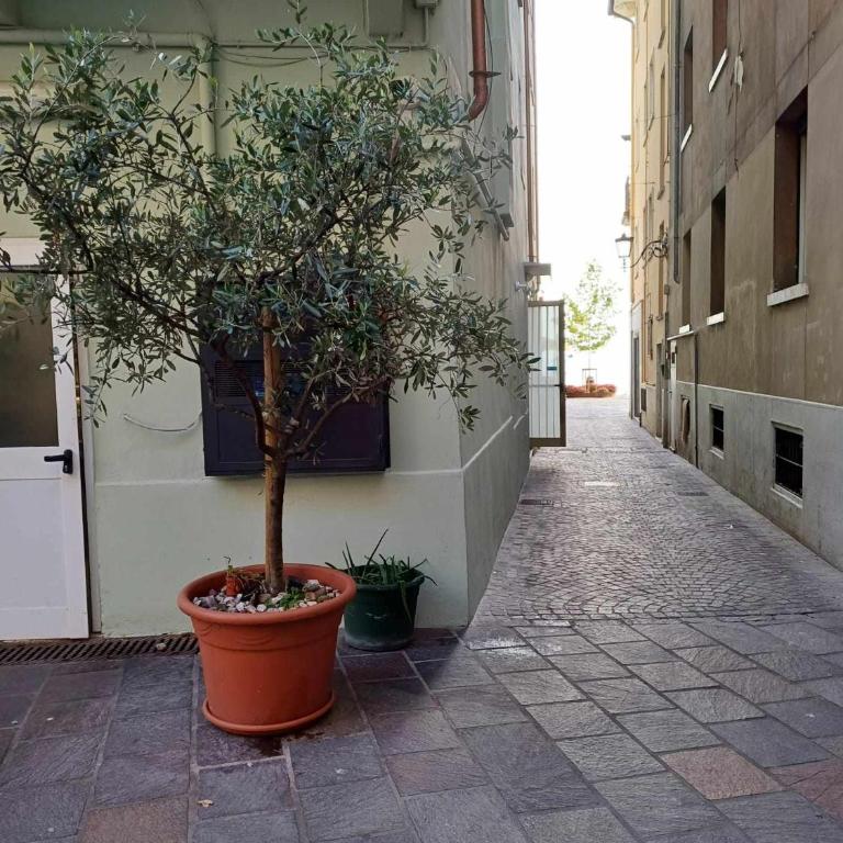 Casa Aldina - nel centro veranda sul tetto - Appartamento Deluxe - 65