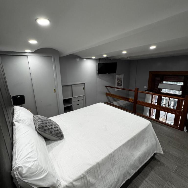 Recoleta Home - Apartamento Dúplex - 1