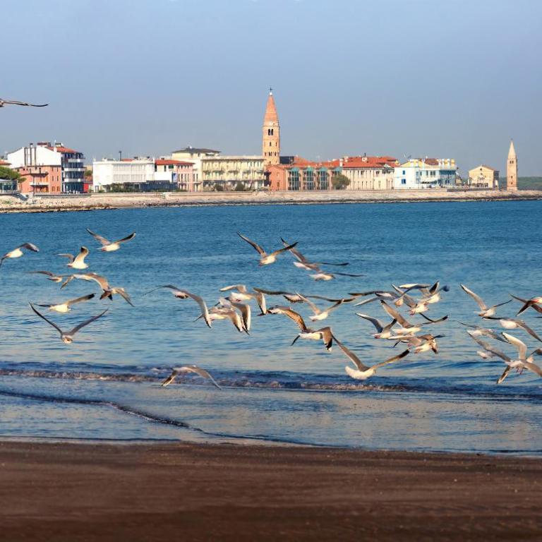 LEVANTE for a luxury stay - Superior - Appartamento con 2 Camere da Letto - 23