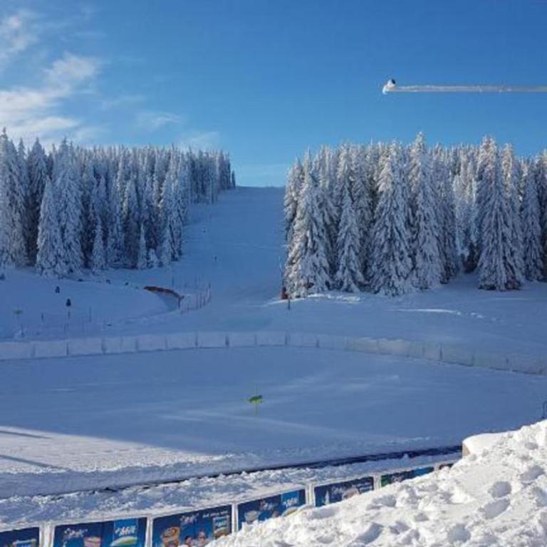 VAB Apartments & SPA, Residence hill, Kopaonik - One-Bedroom Apartment - 76