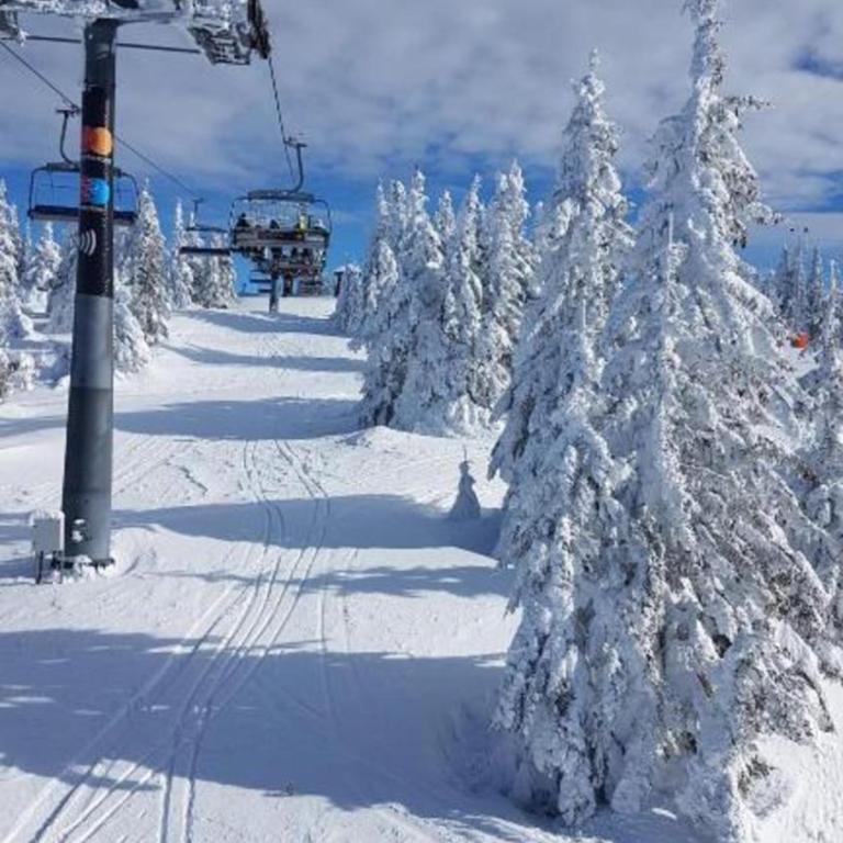 VAB Apartments & SPA, Residence hill, Kopaonik - One-Bedroom Apartment - 80