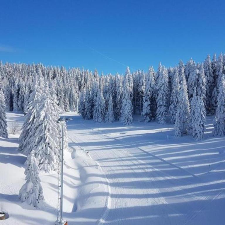 VAB Apartments & SPA, Residence hill, Kopaonik - One-Bedroom Apartment - 49