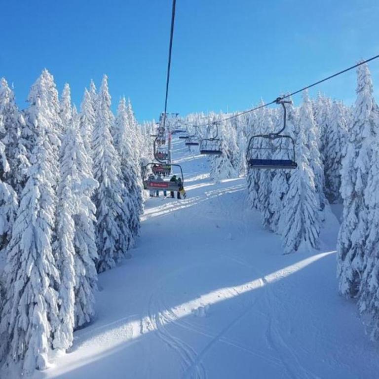 VAB Apartments & SPA, Residence hill, Kopaonik - One-Bedroom Apartment - 82