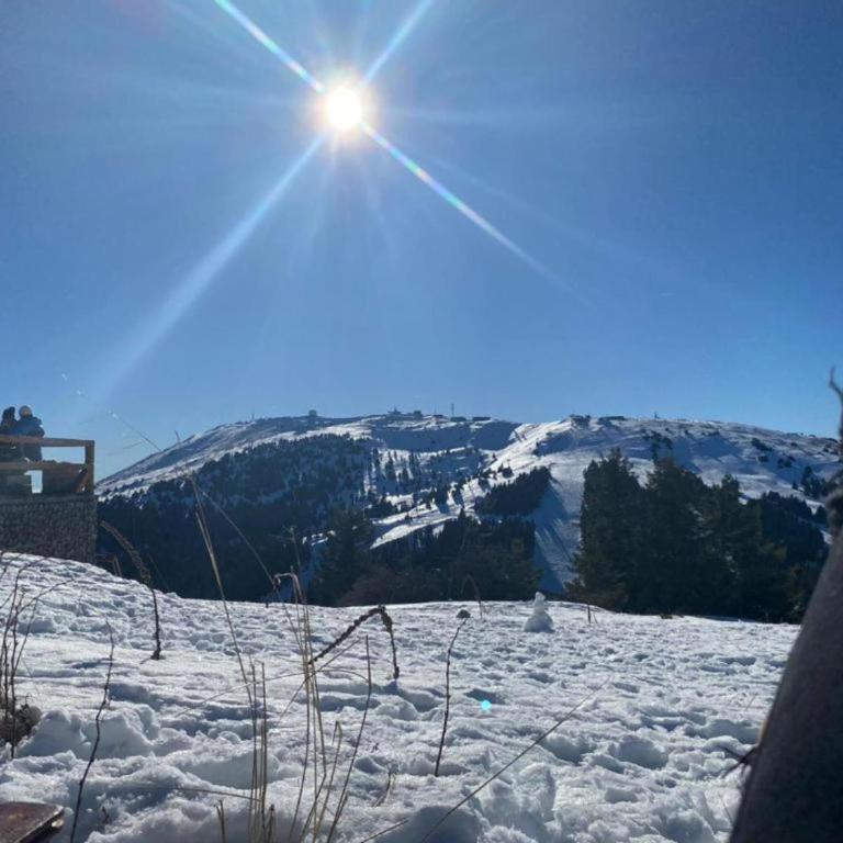 VAB Apartments & SPA, Residence hill, Kopaonik - One-Bedroom Apartment - 97