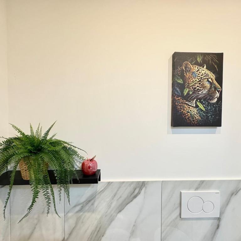 Portico Room - a stone's throw from Piazza Maggiore - One-Bedroom Apartment - 21