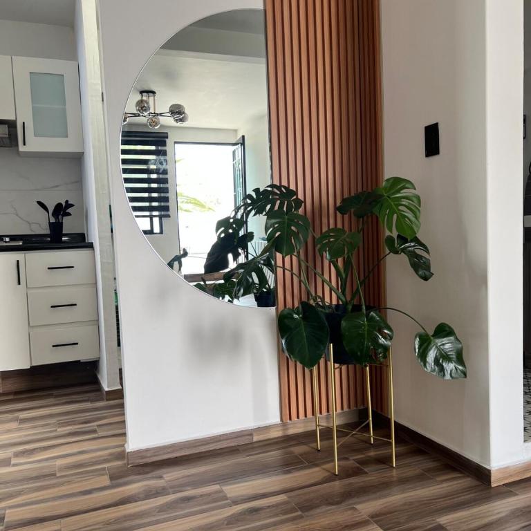 Terraza Colibrí - Apartamento de 2 dormitorios - 19