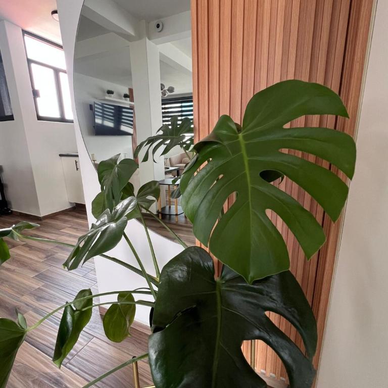 Terraza Colibrí - Apartamento de 2 dormitorios - 20