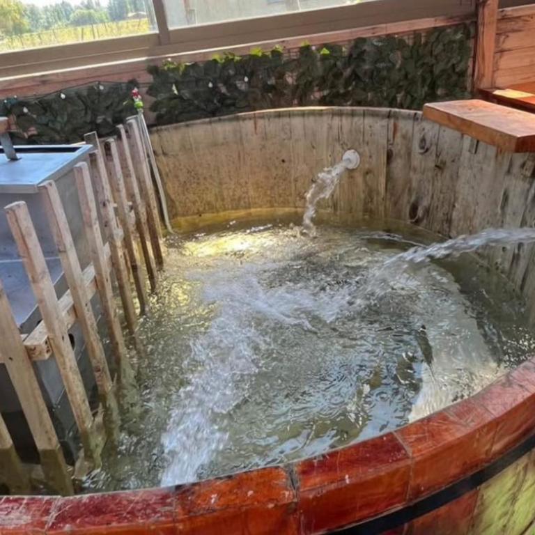 Amadeus - Casa de 2 dormitorios - 1