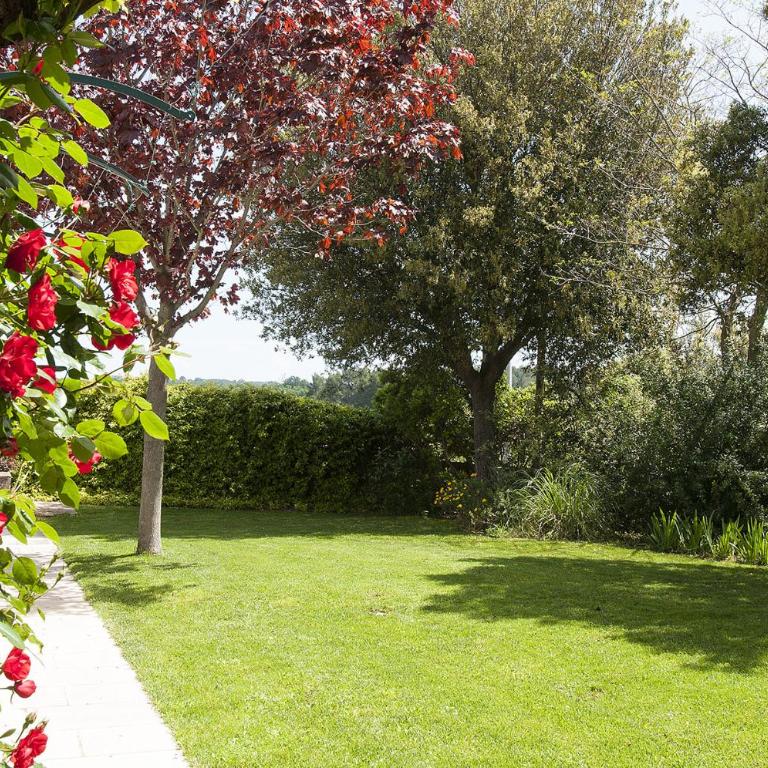 Trulli Valle d'Itria - Trulli dell'ulivo - Two-Bedroom House - 22