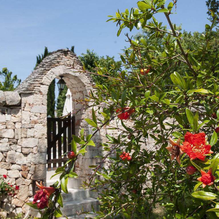 Trulli Valle d'Itria - Trulli dell'ulivo - Two-Bedroom House - 23