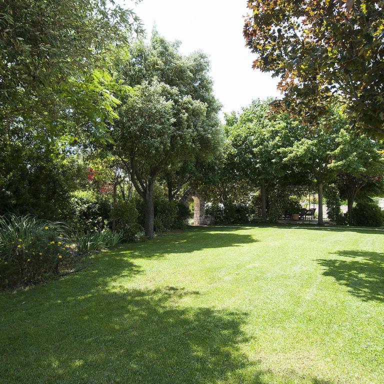 Trulli Valle d'Itria - Trulli dell'ulivo - Two-Bedroom House - 25