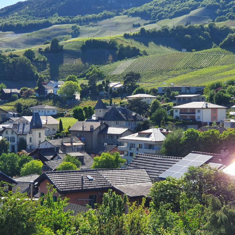Les appartements du Manoir - Vue Alpes, proche Château de Villa - Apartment mit 1 Schlafzimmer - 1