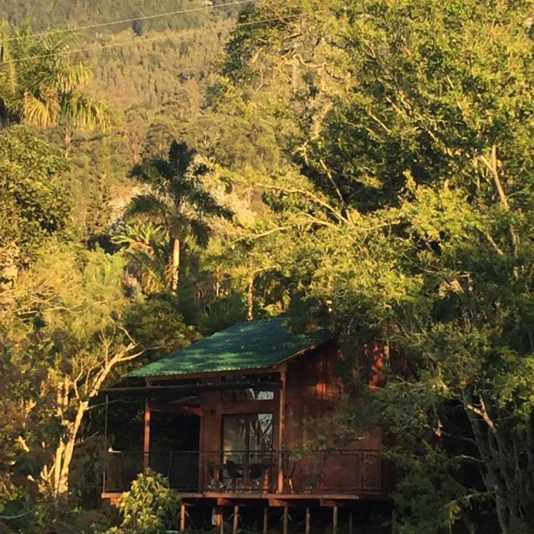 Cabaña El Chocho - One-Bedroom Chalet - 1