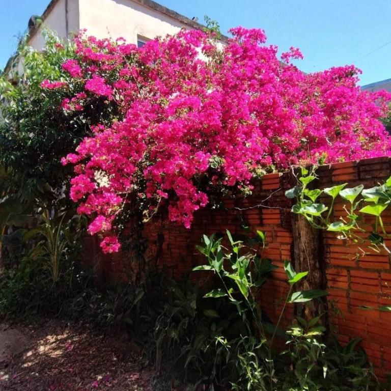 Alojamiento por día en Puerto Iguazú - Two-Bedroom Apartment - 2