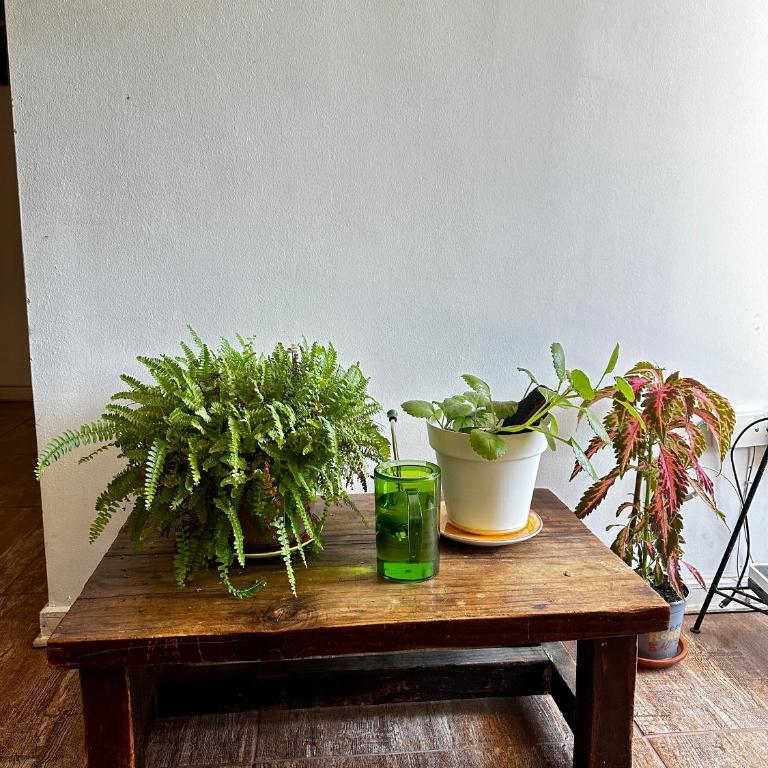 Departamento central en la ciudad de TALCA - Two-Bedroom Apartment - 2