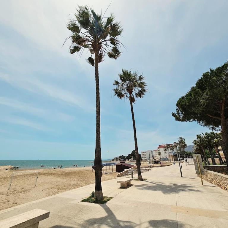 Apartamento Ebre - Apartamento de 2 dormitorios - 15