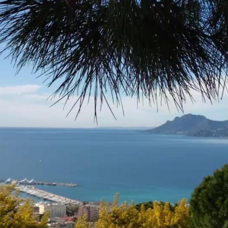 Villa Olimp in Super Cannes with sea view - Villa - 69