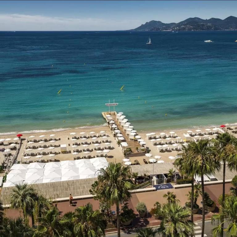Villa Olimp in Super Cannes with sea view - Villa - 68