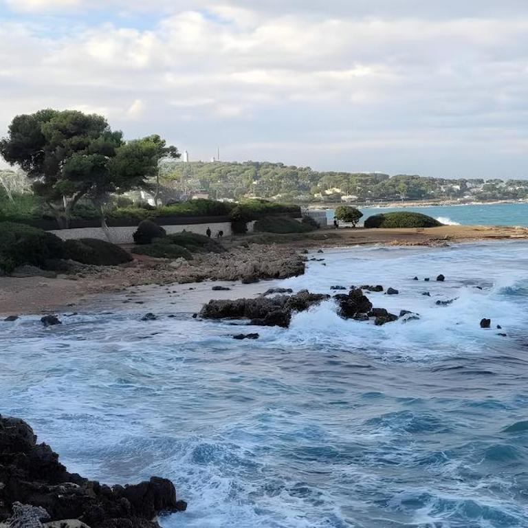 Villa Olimp in Super Cannes with sea view - Villa - 67