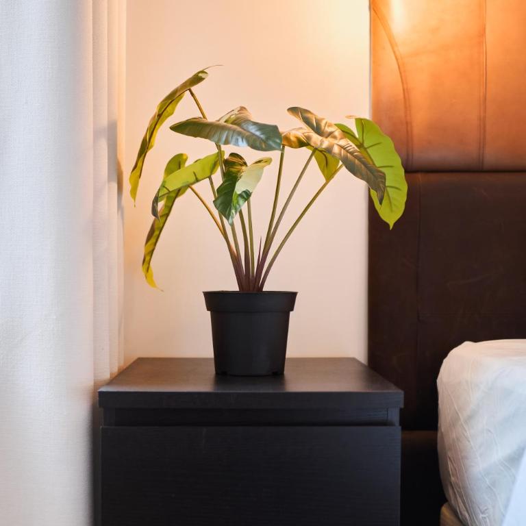 La Suite Urbaine - Place d'Erlon - Bulle de Calme - Apartment mit 1 Schlafzimmer - 43