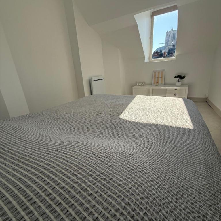 hyper centre Cujas - Appartement 1 Chambre - 10