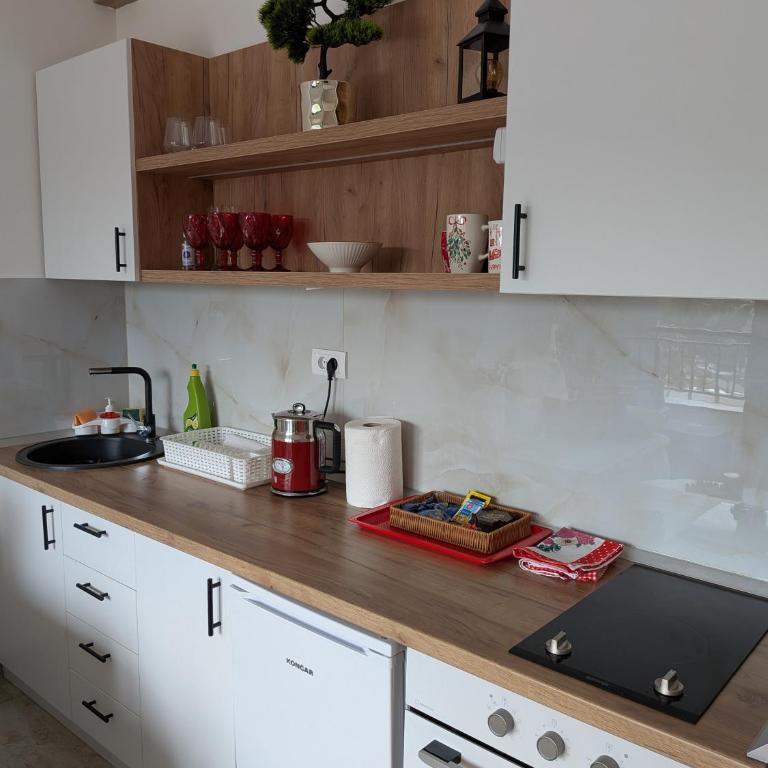 Apartman Kota Red - Apartman sa 1 Spavaćom Sobom - 7