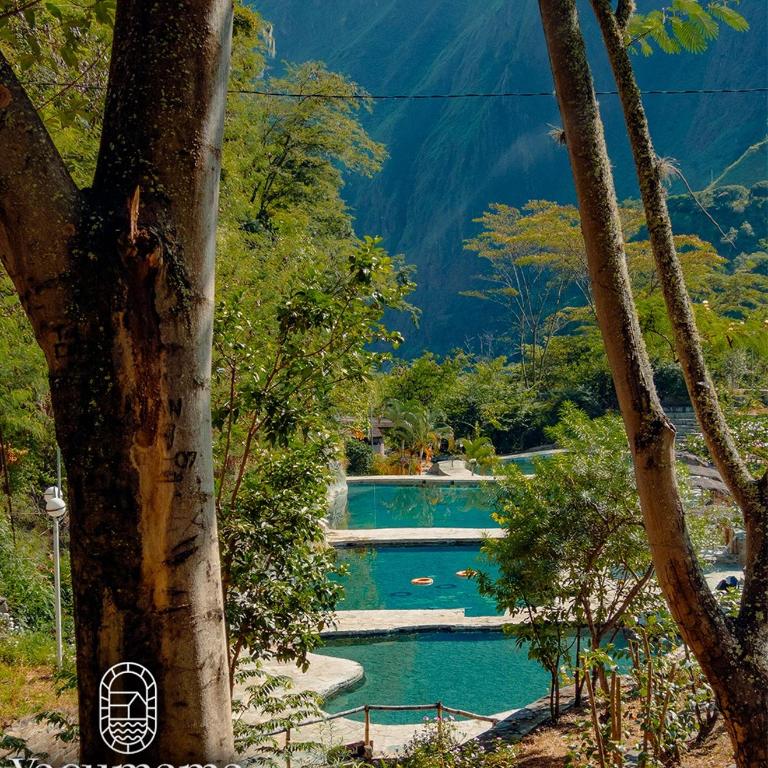 Yacumama - Suite - 4
