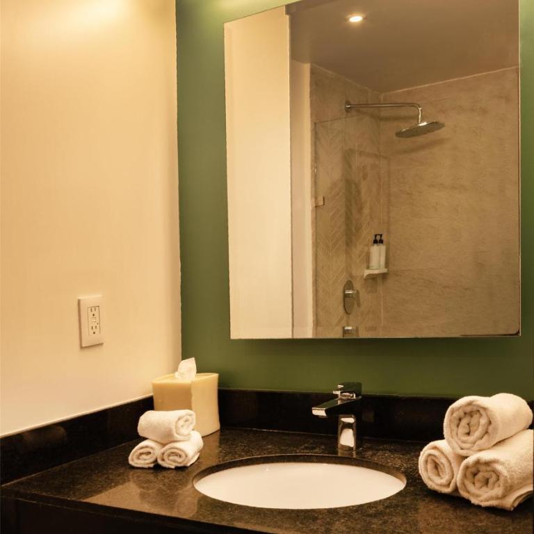 Hilton Garden Inn Mexico City Polanco - Habitación Doble - 5