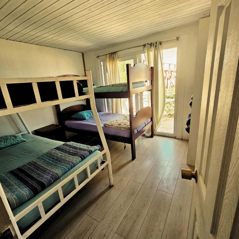 Sophia Hostel Beach House l Coworking, Coliving & Wellness - Single Bed in Mixed Dormitory Room - 2