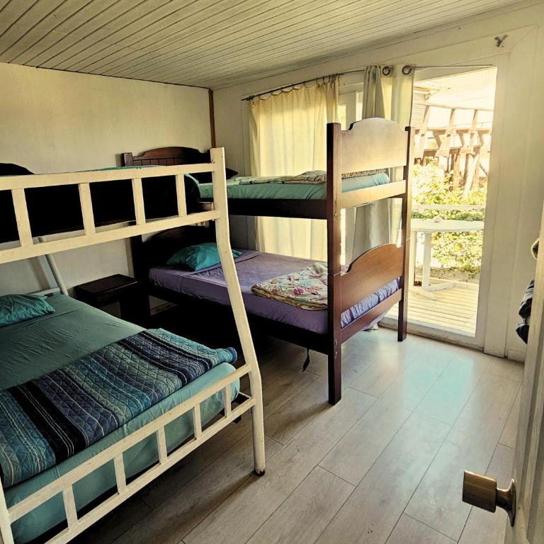 Sophia Hostel Beach House l Coworking, Coliving & Wellness - Single Bed in Mixed Dormitory Room - 5