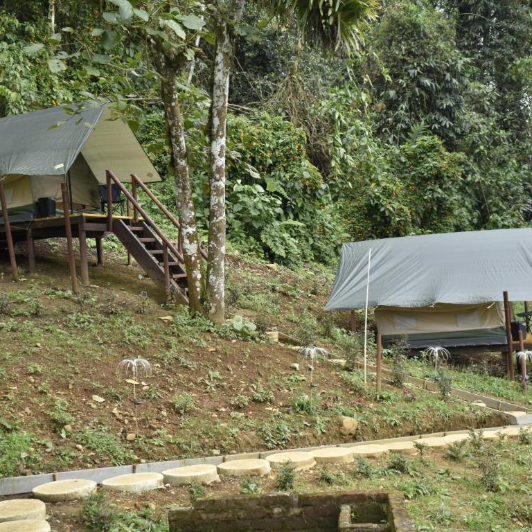 Nido Bag Glamping - Tienda - 1