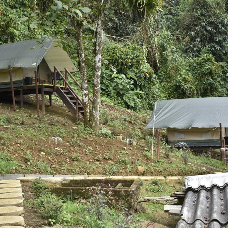 Nido Bag Glamping - Tienda - 2