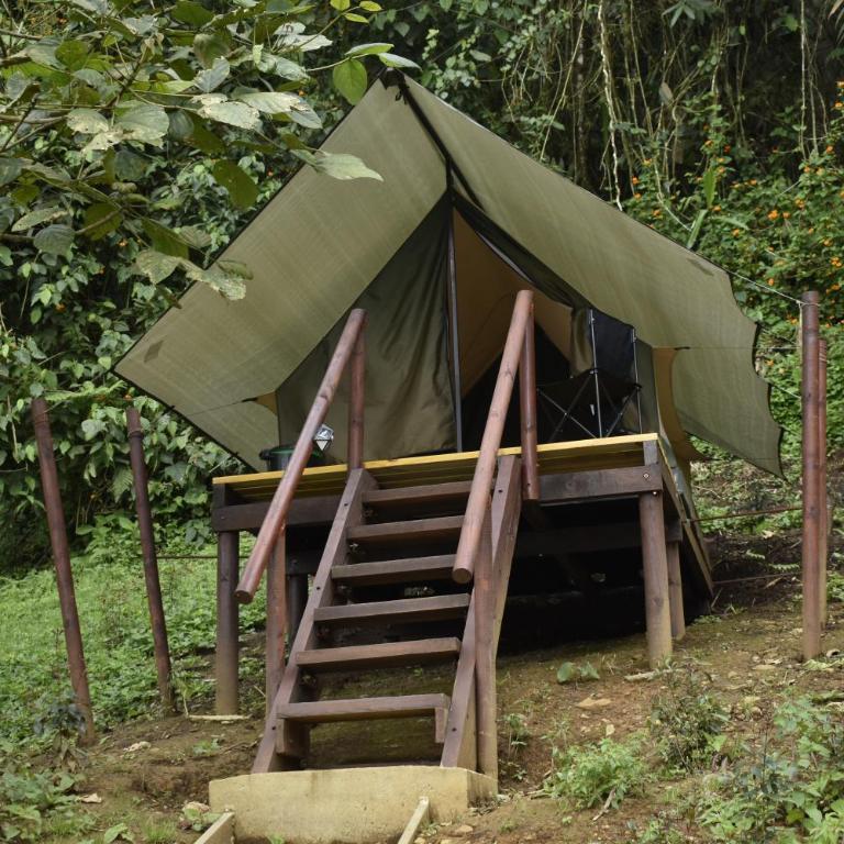 Nido Bag Glamping - Tienda - 10