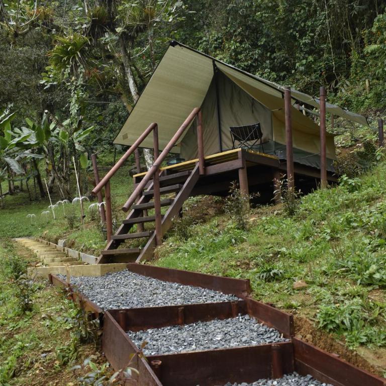 Nido Bag Glamping - Tienda - 3