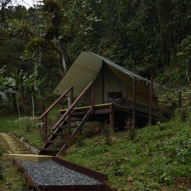Nido Bag Glamping - Tienda - 12