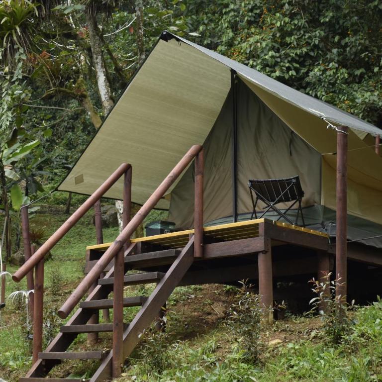 Nido Bag Glamping - Tienda - 13