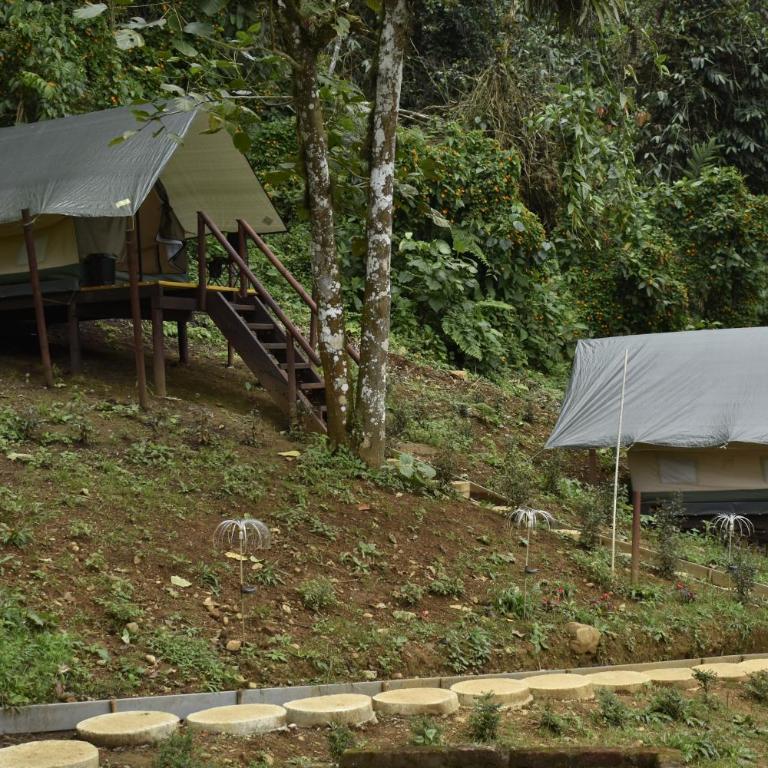 Nido Bag Glamping - Tienda - 11