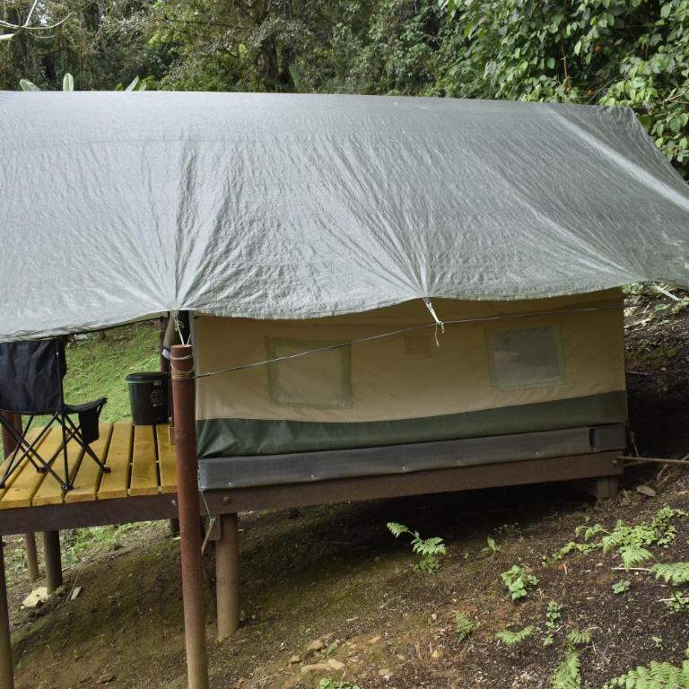 Nido Bag Glamping - Tienda - 14