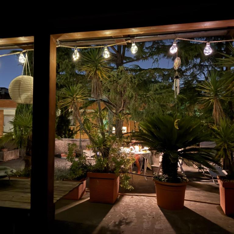 Mansarda monolocale in roof garden - Studio-Apartment - 36
