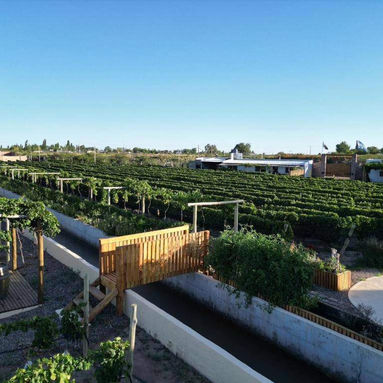 Rincon del Malbec - Chalet Superior - 31