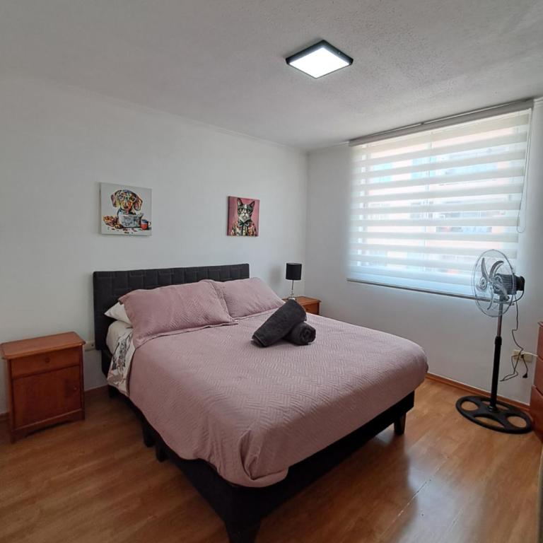 Moderno Depto 1D con Estacionamiento Gratis Ideal Trabajo - One-Bedroom Apartment - 14