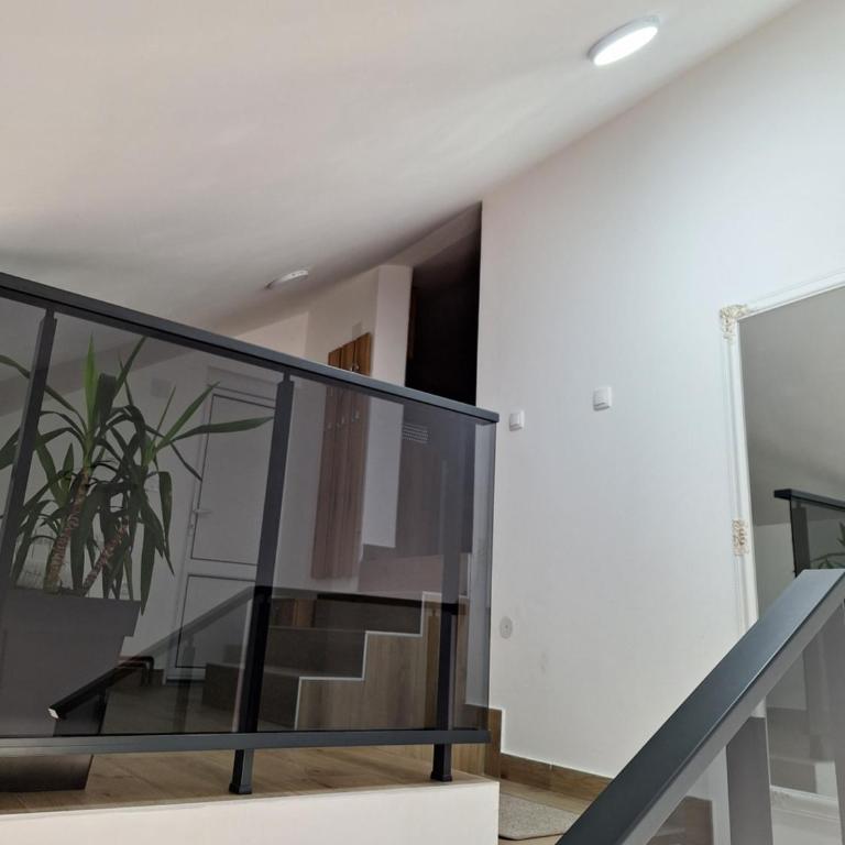 Jelka 2 - One-Bedroom Apartment - 1