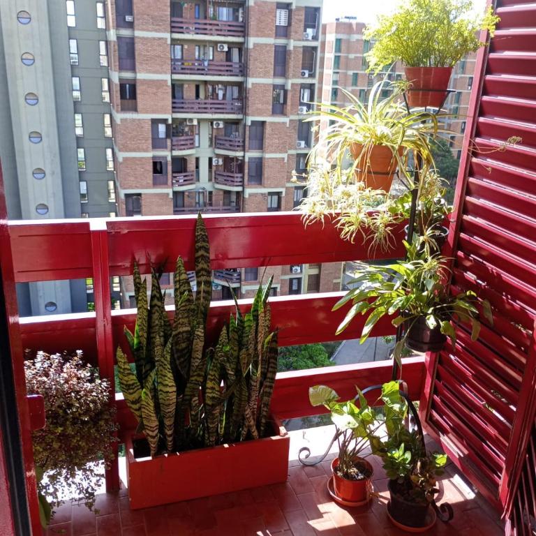 Barrio Juniors Torre roja - Apartamento de 1 dormitorio - 4