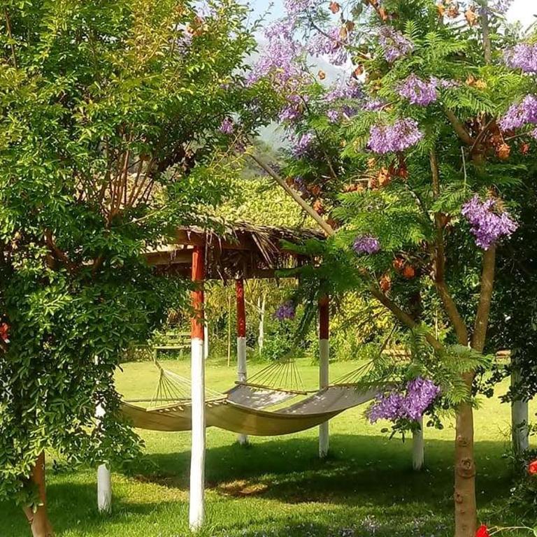 Parcela San Miguel Vacaciones y Eventos - Three-Bedroom House - 9