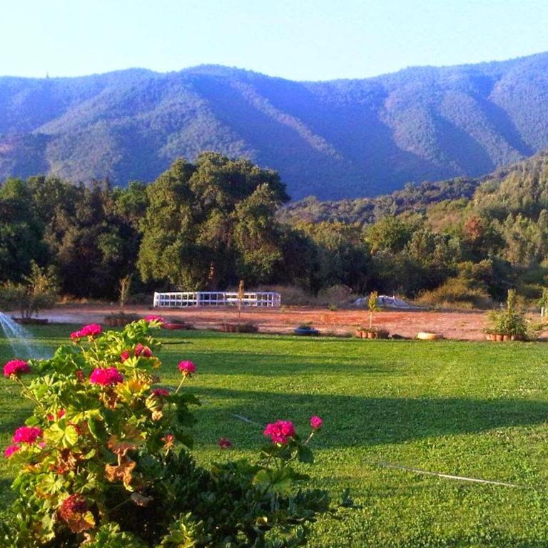 Parcela San Miguel Vacaciones y Eventos - Three-Bedroom House - 48
