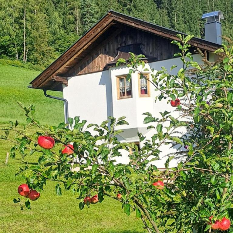 Chalet Anna with mountain view - Chalet mit 1 Schlafzimmer - 15