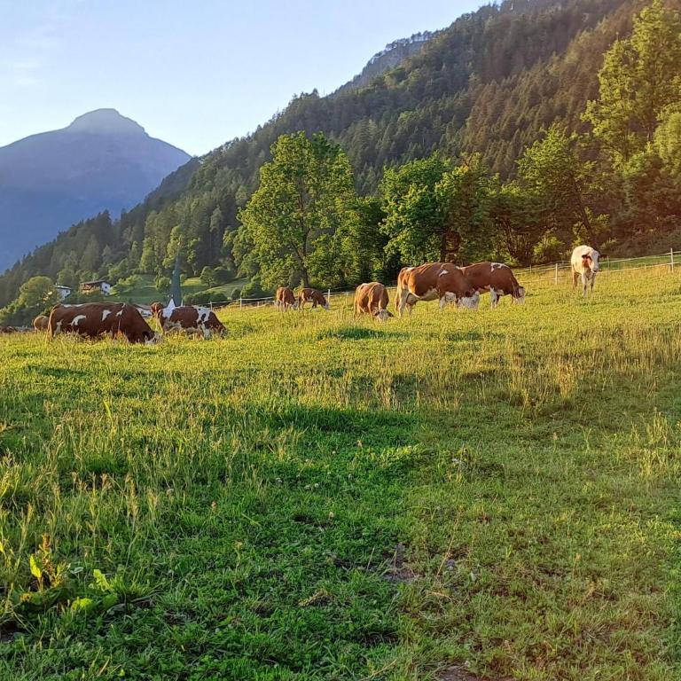 Chalet Anna with mountain view - Chalet mit 1 Schlafzimmer - 17